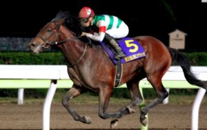ネット競馬 https://www.netkeiba.com/?rf=logo