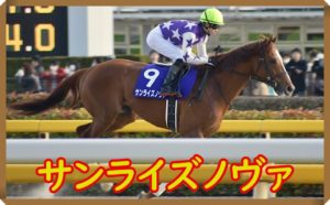サンライズノヴァ ネット競馬 https://www.netkeiba.com/?rf=logo