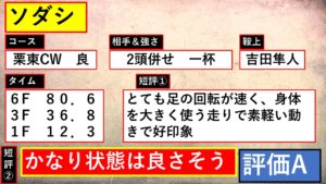 阪神JF ソダシ