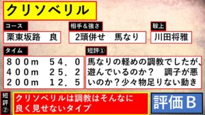 チャンピオンズカップ