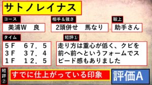 サトノレイナス