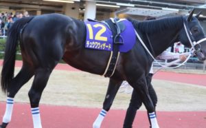 ネット競馬 https://www.netkeiba.com/?rf=logo
